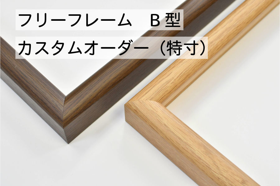 フリーフレームＢ型特寸