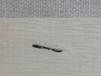 樹脂穴の黒い点々
